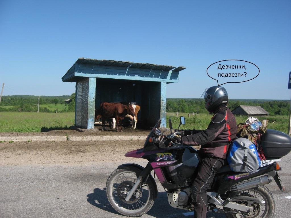 07