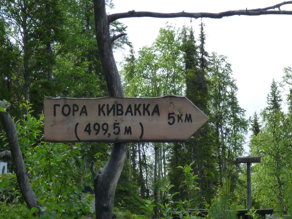 P1000313