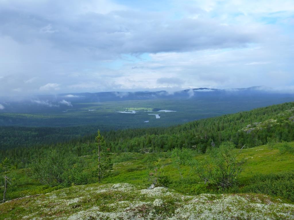 P1000330