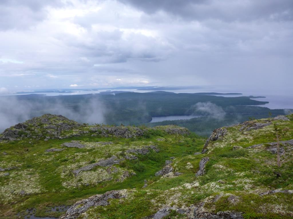 P1000347