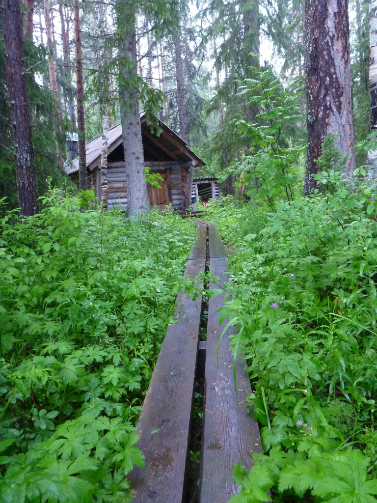 P1000365