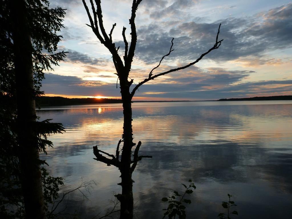 P1000386