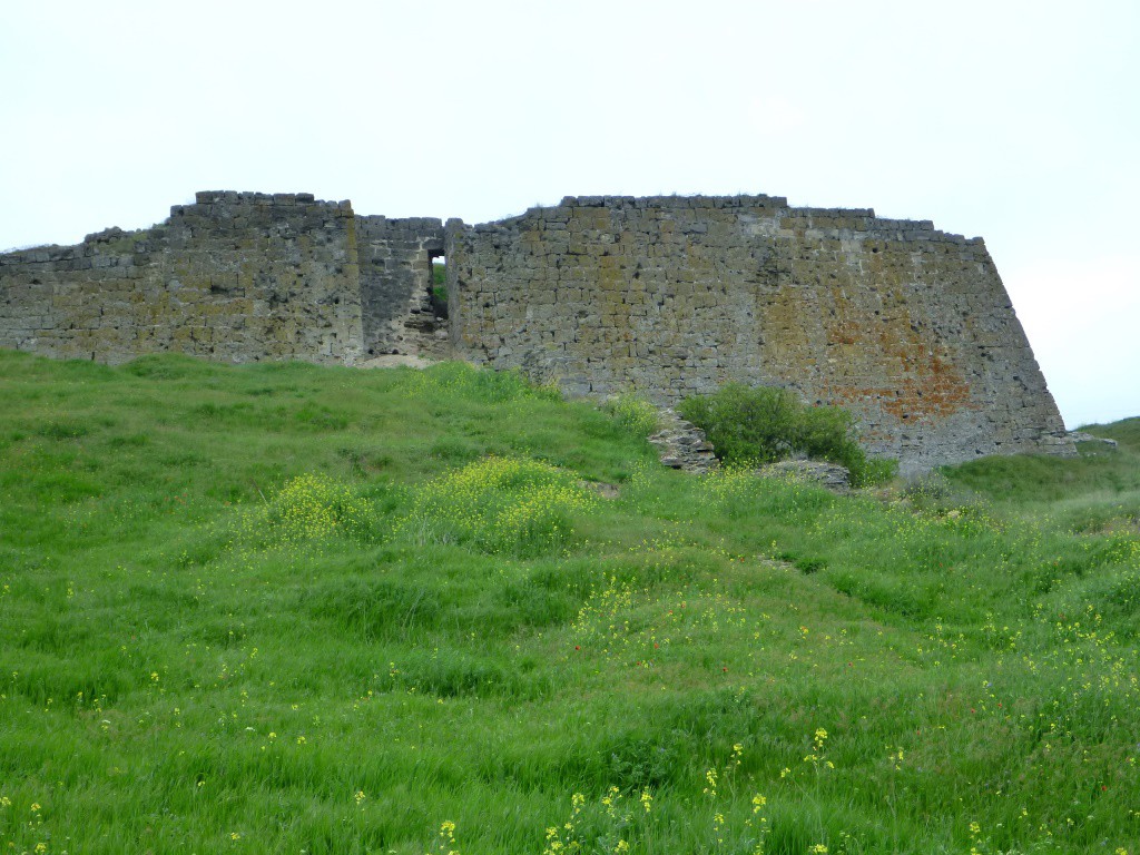 P1110933