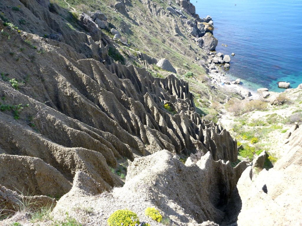 P1120154