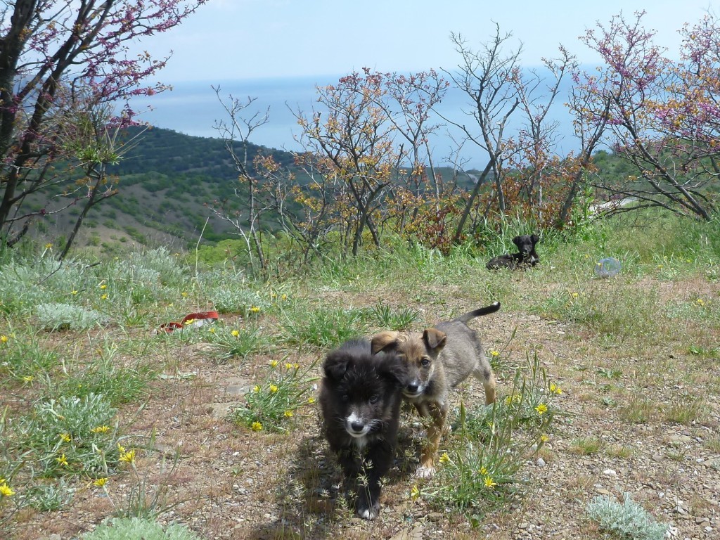 P1120230