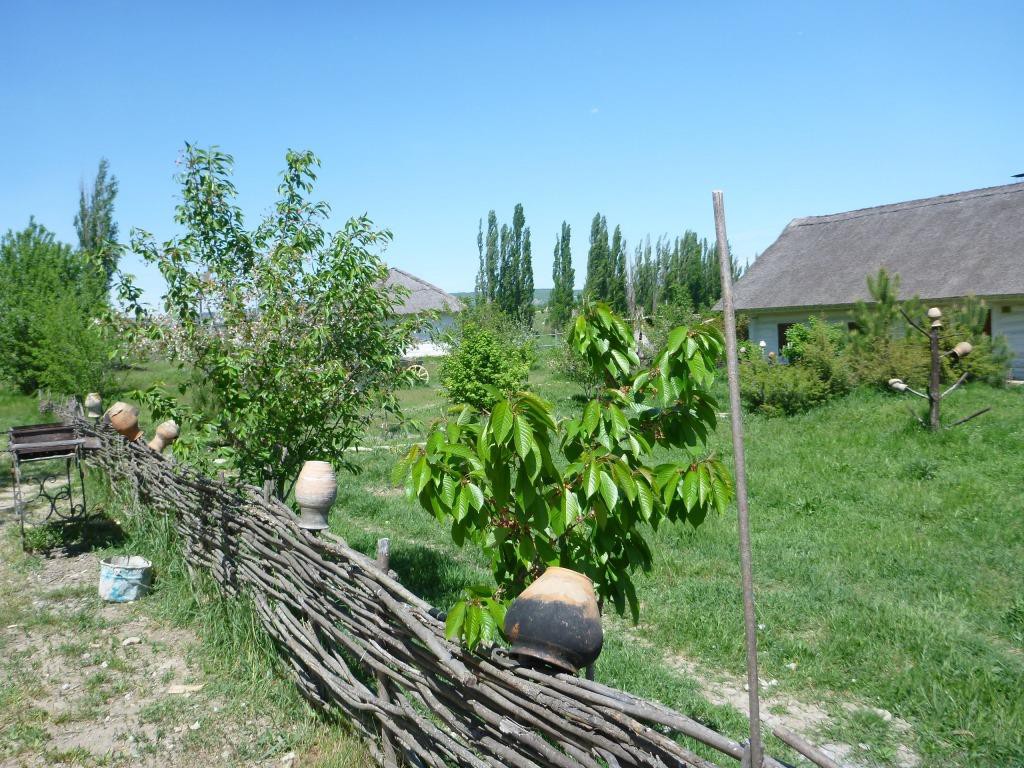 P1120279
