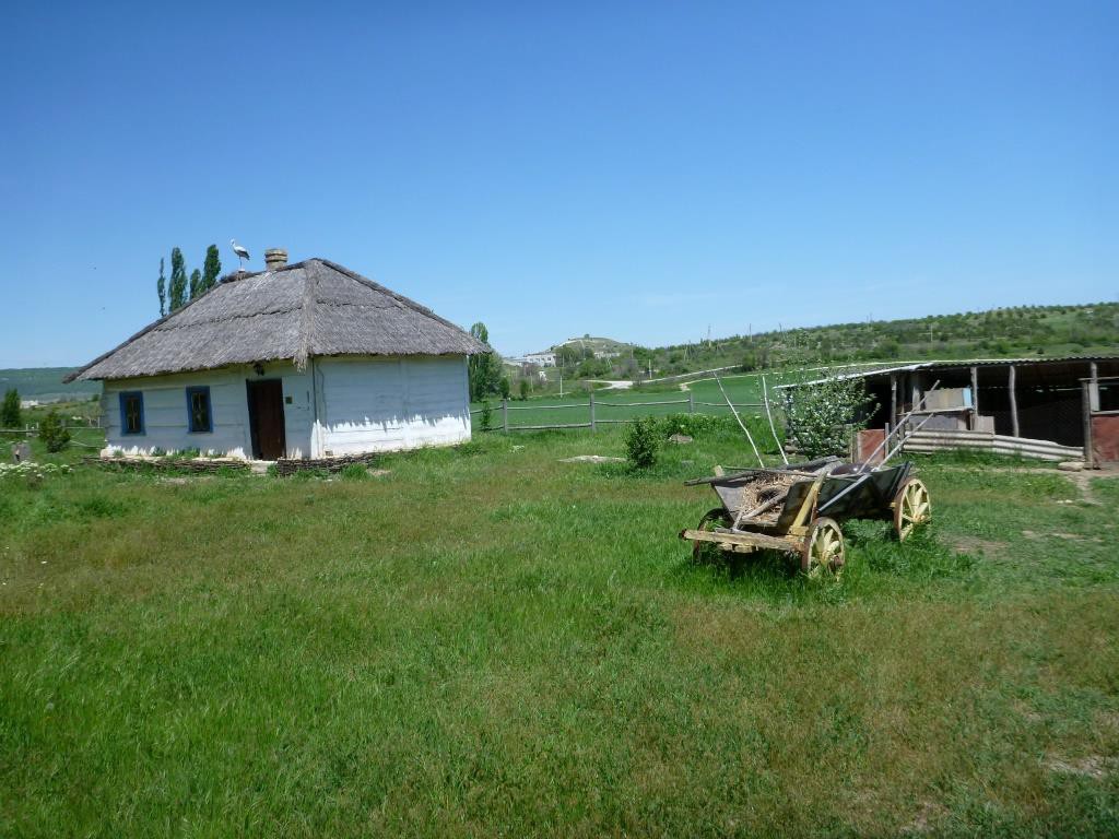 P1120280