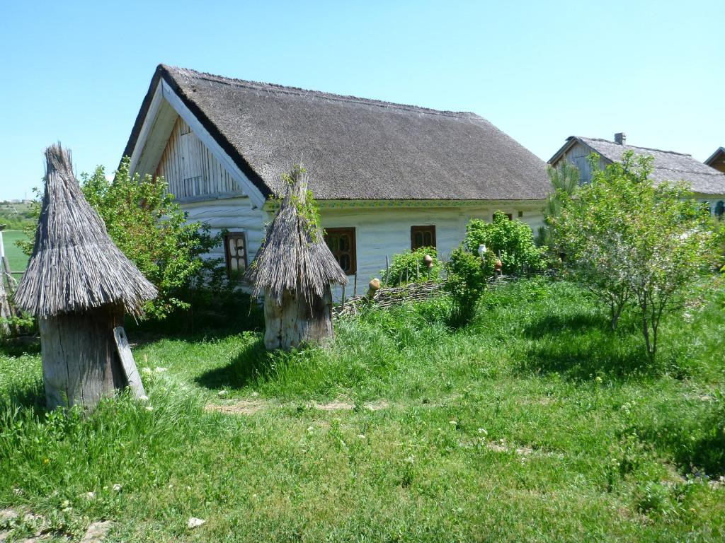 P1120281