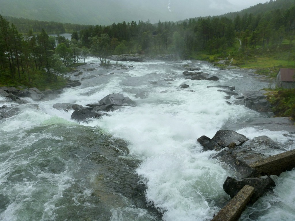 P1050262
