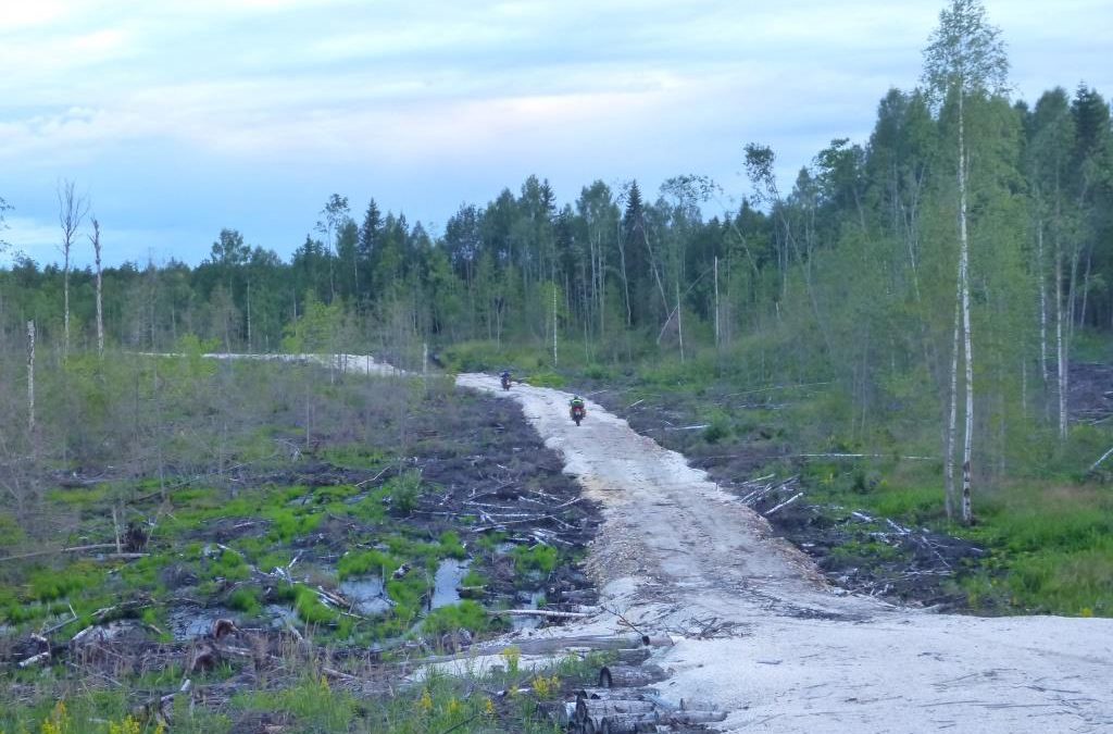 Карелия 2016 (108)
